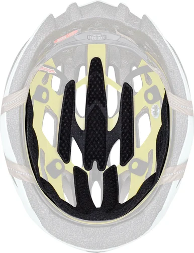 2019 | Echelon II Helmet