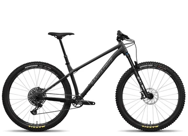 2024 | Chameleon 8 29 AL R