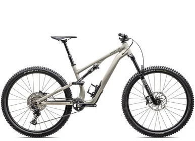 2025 | Stumpjumper 15 Alloy