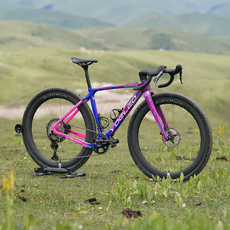 Altera G21 DB Gravel Bike Frameset Panda Purple