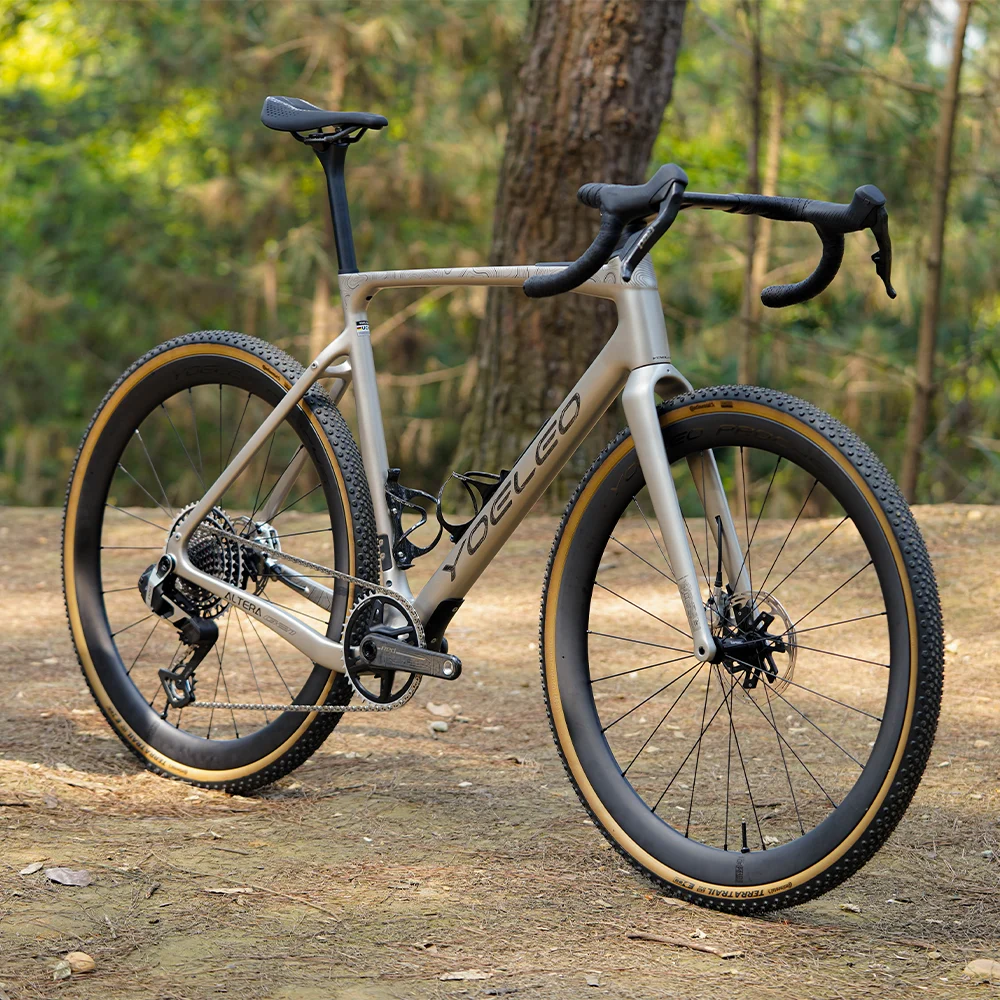 Altera G21 DB Gravel Bike Frameset