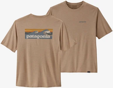 Capilene Cool Daily Graphic Shirt - Men's