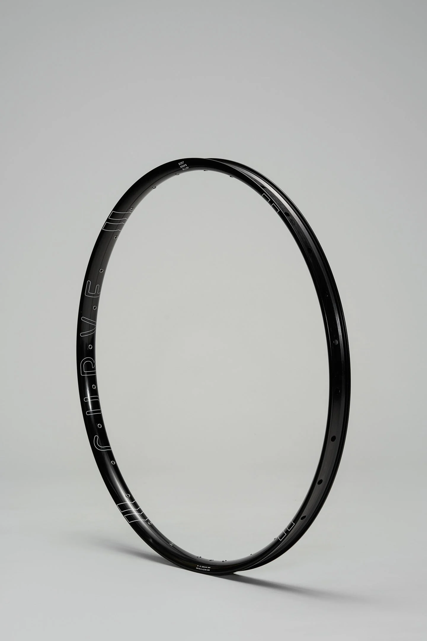 Dirt Hoops Alloy Rim
