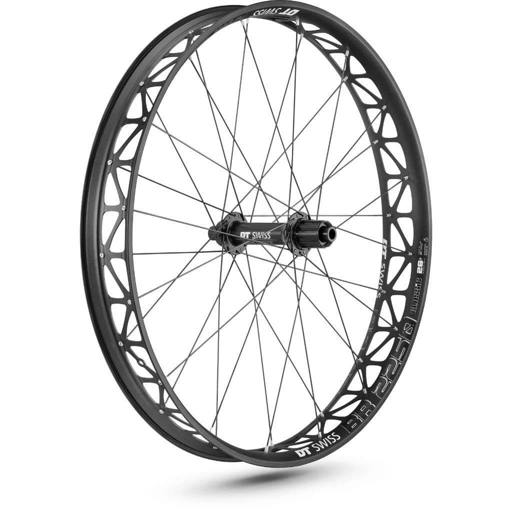 DT Swiss BR 2250 Classic 26 197 x 12 CL Disc Rear Wheel