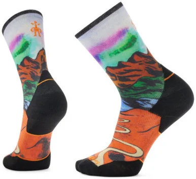Men's Trail Run Targeted Cushion Singletrack Performance Socks