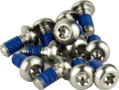 SRAM Titanium T25 Rotor Bolt Kit Silver (Qty 12)